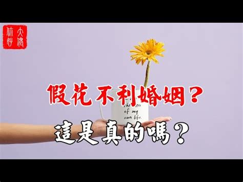 室內放假花|【放假花 風水】放假花小心漏財！家居風水5大禁忌大公開